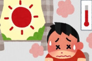 「暑いから外出たくない！」夏のテレワーク希望者が66％、満員電車とかなぁ…