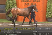 【セレクトセール2025】フォエヴァーダーリングの2024(父レイデオロ)が3億円で落札　他