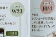 【画像】イマドキ女子「クレジットカードの正しい使い方がコチラwww」