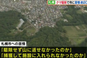 クマ駆除で札幌市に苦情約200件 「山に返せなかったのか」