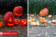 【チェコ】「悪魔の祝祭のシンボルだ」神父さん、子供たちが作ったカボチャのランタンを破壊