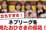 【日向坂46】ネプリーグを見たおひさまの反応！【日向坂・日向坂で会いましょう】