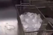 【動画】バカ店員「氷を揚げてみたｗｗｗ」