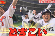 プロ野球が見たいんじゃああああぁあぁぁあぁぁぁ