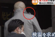 警察「家宅捜索だ」ヤクザ「検温をお願いします」【動画あり】