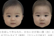 【画像】大阪大学、「かわいさが高い赤ちゃん」と「かわいさが低い赤ちゃん」の顔面を発表