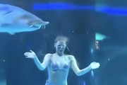 【動画】中国の水族館で人魚さんがサメに食われかけてしまう（ノ∇`）