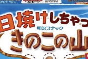 【画像】きのこの山、ビスケットの部分が〇〇味になるｗｗｗｗｗｗｗｗｗｗ