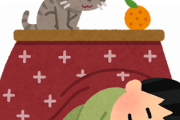 最近の猫、いうほどこたつで丸くならないｗｗｗｗｗｗｗｗｗ