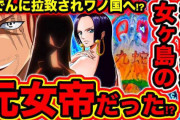 ワンピースの最終章、ルフィ陣営の勢力が絶大すぎてヌルゲー確実