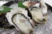 東京湾で採れた牡蠣ｗｗｗｗｗｗｗｗ
