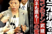 辻元清美「菅総理、私の質問に全集中の呼吸で答えてくださいね！学術会議の生殺与奪の権を握らせるわけにはいかない！」