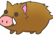 自分をイヌだと思ってるイノシシ可愛すぎるｗｗｗｗｗ
