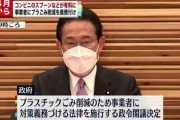 【悲報】日本政府「コンビニのプラ製スプーン」４月１日施行政令を閣議決定
