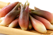 ミョウガとかいうくっそ不味い謎の野菜ｗｗｗｗｗ
