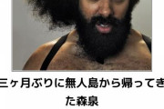笑えるかもしれないコピぺスレ『ホームランボールで辺り一面阿鼻叫喚』