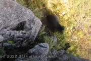 【動画】登山者、クマ?に襲われるｗｗｗｗｗｗ