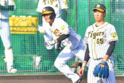 阪神　湯浅、佐藤蓮、牧、原口、片山がアピール成功　秋季練習でシート打撃