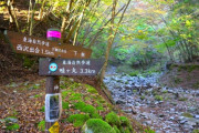 登山始めたばかりで春～秋の丹沢は今年初体験なんだが、ヒルってそんなに沢山でてくるの？