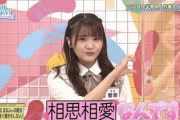 【日向坂46】今週の『ひなあい』MVP、すーじーで決定だなwwww