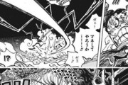 【画像】最近のワンピースの戦闘、もはや何が起きてるのかわからない