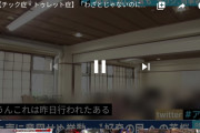 汚言症の動画見たんやけどまんまワイで草