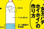 【スズメバチ】簡単に作れる「女王バチホイホイ」で今の時期に捕まえよう！春の捕獲は夏の大群全滅に匹敵