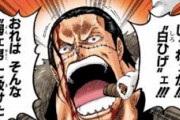 【ワンピース】元七武海クロコダイルさん、覇気を知らなかった疑惑があっても未だ人気ｗｗｗｗｗｗｗｗｗｗ