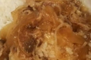 【画像】レトルトの丼、ひどい