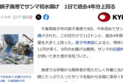 サンマ豊漁､想像以上だった 銚子漁港では1日で過去4年分上回る