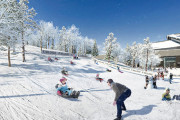 Fビレッジに冬期限定でゲレンデ誕生！スキー体験や雪遊びが楽しめる！