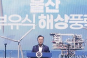 【韓国】文在寅「2030年までに洋上風力の5大強国に近づく」