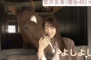 まるで聖母！馬術スペシャルアンバサダー櫻坂46菅井友香出演の11/21放送 NHK Eテレ「全日本障害馬術 2020」告知動画第4弾が公開中