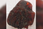 【ルーマニア】ドアストッパーに使っていた赤い石、1億5000万円超の価値を持つ世界最大級の「琥珀」と判明