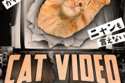 ネコ動画を映画館で楽しむ祭典「CatVideoFest」日本での初公開が決定