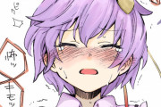 ソフトにいじめてあげたい東方キャラ