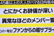 日向坂46という45歳以上の大人がハマるグループｗｗｗｗｗｗｗｗｗｗｗｗ
