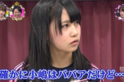 【AKB48】20歳過ぎた途端にBBA扱いされるんだからアイドルって本当に大変だよな