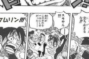 ワンピースの1番の失敗wwwwwwwww