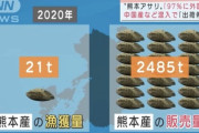 【悲報】熊本県産アサリ、漁獲量に対して販売量が100倍もあった‥