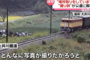撮り鉄「撮り鉄を叩いてるアンチ、お前ら『撮れない鉄』な？w」