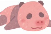 【画像】パンダの赤ちゃんを巻尺で計測する仕事に就きたいんだがｗｗｗｗ