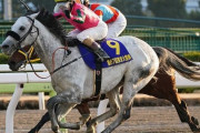 【競馬予想】第12回みやこステークス(GIII) /2022