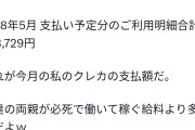 44歳無職ネトゲーマー「父は東大卒の事務次官で年収3000万円なんだ！お小遣いは月30万円なんだ！」