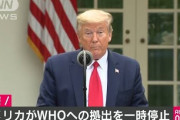 【速報】米、ＷＨＯへの資金拠出を一時停止へ　トランプ大統領が発表