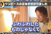 論破の永久機関ひろゆき、今度はワンピースをセルフ論破してしまう
