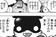 【悲報】ワンピース、ありがちなゴムゴムの実過大評価路線へとガチで突入w