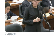 【炎上】 えりアルフィヤ議員 「日本で就職したがセクハラがひどかった」 ツイ民「日銀だよね？」 →