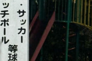 元テレ東アナ、公園の「球技禁止」の看板に「せつない…家の中でゲームしかしないのか」共存できる公共の場を望む