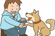 【結婚生活に疲れた】女はこっちが受け身だとつけ上がる。犬のしつけみたいにこっちが主であることを常日頃からコントロールしていかないとダメだ。